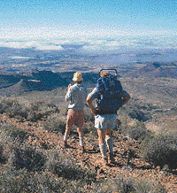 karoo