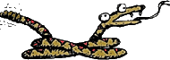 snake