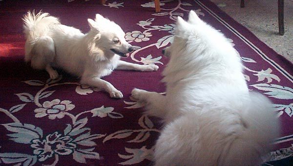 Sam and Angel First Meet