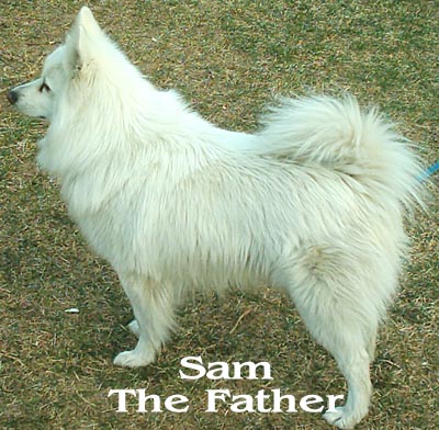 Sam May 4th 2005