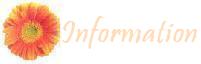 Information