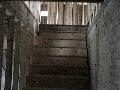 Basement stairs going up from basement