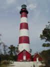 assateague02.jpg (21046 bytes)