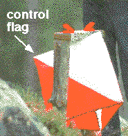 bendera kontrol