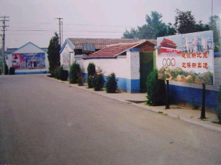 typical street in the village