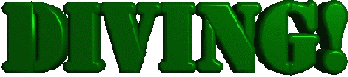 Diving Image