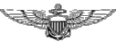 navy wings