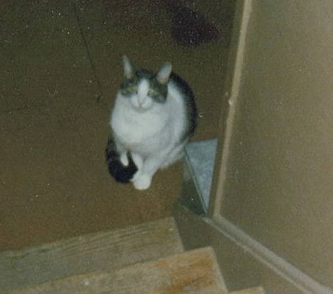 Tusha While Living over in South Portland in 1978