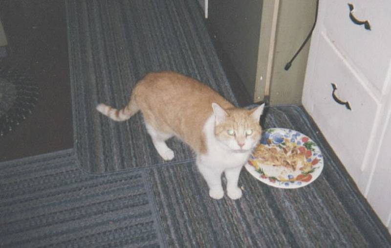 How Dare you Creeps Feed me this Piece of Garbage