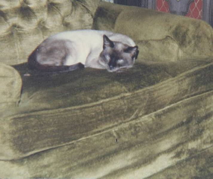 Izzey While Living in South Portland in 1978