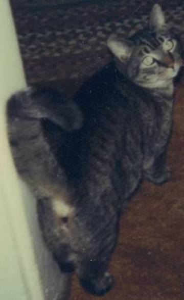 How Dare you Take a Sneak Snap Shot of me you Bonehead