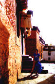 alley of a monatery