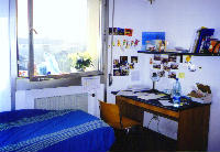 My Study Table