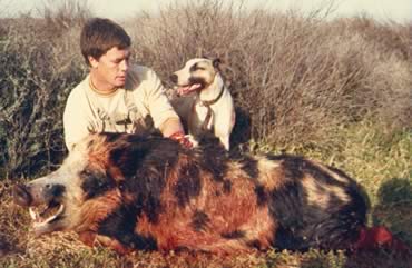 pig hunting, hog hunting, baying dog, bay dog, pig dog, lockhart river, national parks, cape york, hunting, dog, pig, hog, sport, lockhart