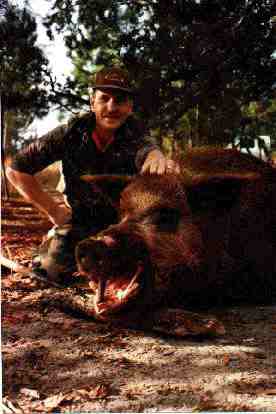 pig hunting, hog hunting, baying dog, bay dog, pig dog, lockhart river, national parks, cape york, hunting, dog, pig, hog, sport, lockhartlockhart river,pig hunting,dog,baying dog,bay dog,national parks,fishing,pig,hunting,hog hunting,hog,aboriginal,cape york,queensland,australia,grunter,feral,wild,sport,shooting,shooter,lockhart river,pig hunting,dog,baying dog,bay dog,national parks,fishing,pig,hunting,hog hunting,hog,aboriginal,cape york,queensland,australia,grunter,feral,wild,sport,shooting,shooter
