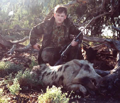 pig hunting, hog hunting, baying dog, bay dog, pig dog, lockhart river, national parks, cape york, hunting, dog, pig, hog, sport, lockhart