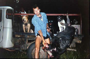 pig hunting, hog hunting, baying dog, bay dog, pig dog, lockhart river, national parks, cape york, hunting, dog, pig, hog, sport, lockhart
