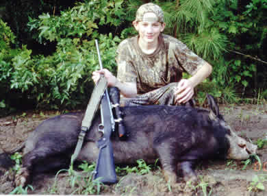 pig hunting, hog hunting, baying dog, bay dog, pig dog, lockhart river, national parks, cape york, hunting, dog, pig, hog, sport, lockhart