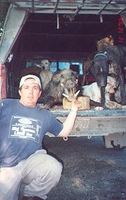 pig hunting, andy trabucco, australian pig, enclosed photo, pig, photo, enclosed photos taken, siobhán kavanagh, enclosed photos, photos taken, siobhán, photos, hunting
