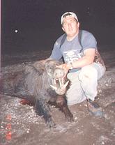 pig hunting, andy trabucco, australian pig, enclosed photo, pig, photo, enclosed photos taken, siobhán kavanagh, enclosed photos, photos taken, siobhán, photos, hunting