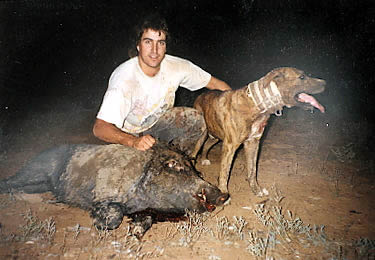 pig hunting, hog hunting, baying dog, bay dog, pig dog, lockhart river, national parks, cape york, hunting, dog, pig, hog, sport, lockhart