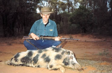 pig hunting, hog hunting, baying dog, bay dog, pig dog, lockhart river, national parks, cape york, hunting, dog, pig, hog, sport, lockhart