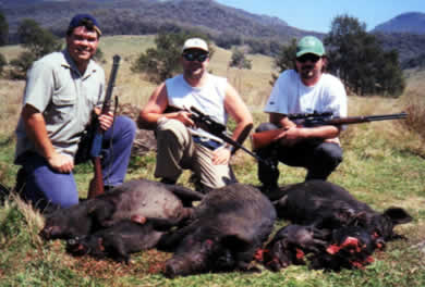 pig hunting, pig dog, hog hunting, baying dog, bay dog, lockhart river, national parks, cape york, dog, pig, hunting, hog, lockhart, bayingpig hunting, hog hunting, baying dog, bay dog, pig dog, lockhart river, national parks, cape york, hunting, dog, pig, hog, sport, lockhart