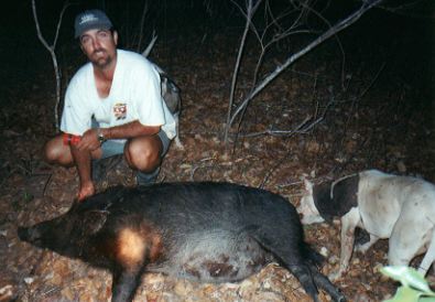 pig hunting, hog hunting, baying dog, bay dog, lockhart river, national parks, cape york, pig dog, hunting, dog, pig, hog, queensland, australialockhart river,pig hunting,dog,baying dog,bay dog,national parks,fishing,pig,hunting,hog hunting,hog,aboriginal,cape york,queensland,australia,grunter,feral,wild,sport,shooting,shooter,lockhart river,pig hunting,dog,baying dog,bay dog,national parks,fishing,pig,hunting,hog hunting,hog,aboriginal,cape york,queensland,australia,grunter,feral,wild,sport,shooting,shooter
