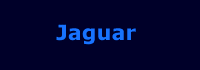 Jaguar - Picture Gallery