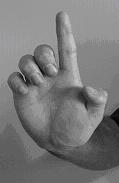 Bridge hand posture inherited from Hung Gar