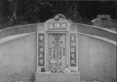 White-haired Devils Grave which is regulary cared for by the Association in Hong Kong who also provided the photo..