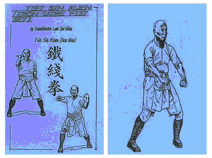 Hung Fut has its own version of this original Hung Gar (Lam Sai Wing pictured) form.