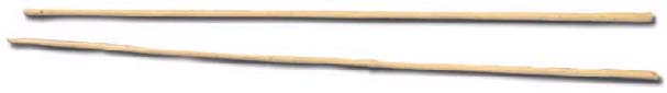 Staff or stick