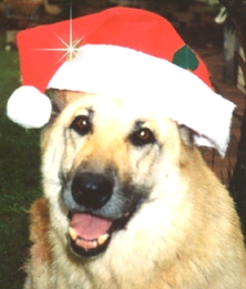 Santa Miss
