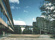 Maths Courtyard
