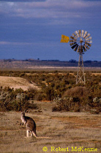 Mungo NP NSW