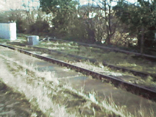 Point Rodding cleared of plant growth.