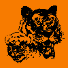 Cub Scout Pack 240 - Tiger Cubs