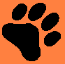 Cub Scout Pack 240 - Tiger Cub Patch