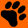 Cub Scout Pack 240 - Tiger Cub Patch