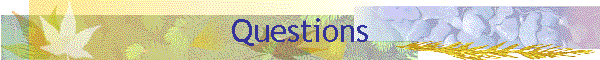 Questions