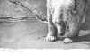 Polar.jpg (69181 bytes)