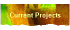 Current Projects