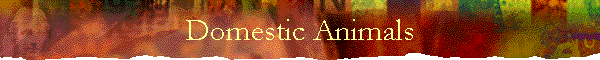 Domestic Animals