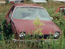graveyardpacer#1redcoupe1.GIF (43459 bytes)