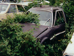 graveyardphoto#9drkbrownwagon1.GIF (46042 bytes)