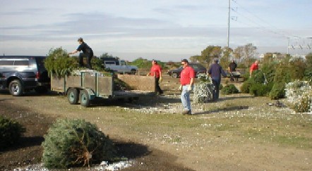 Pack 603 Annual Tree Pick-up
