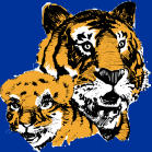 Tigers