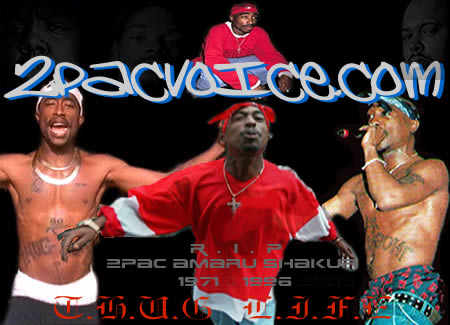Enter our website