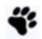 bwpaw.gif